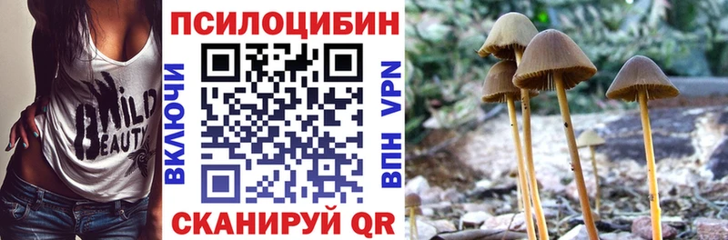 это клад  MEGA ТОР  Тайшет  Галлюциногенные грибы GOLDEN TEACHER 